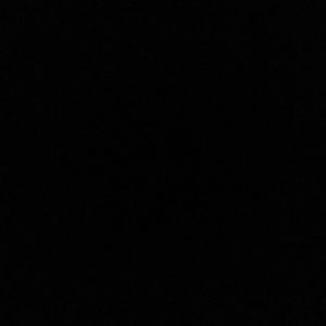 Meet your Posher, Ginger